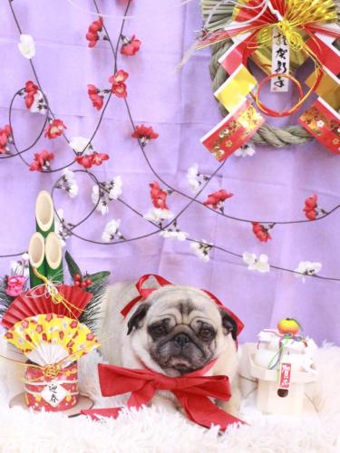 20230121くりこちゃん